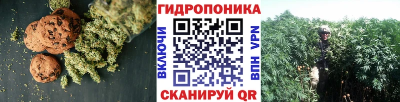 Canna-Cookies конопля гидра ссылка Янаул где купить наркоту