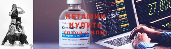 прущие крисы Бородино