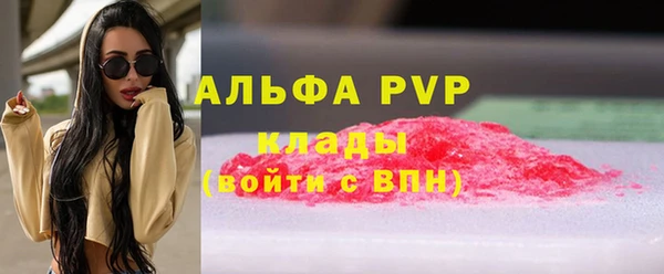 прущие крисы Бородино