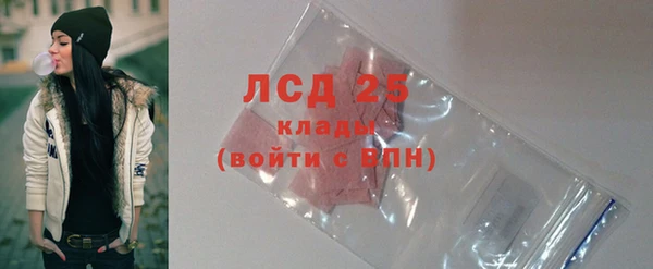 прущие крисы Бородино