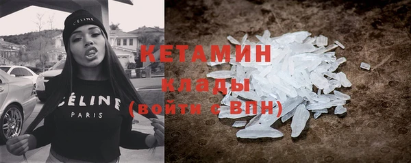 прущие крисы Бородино